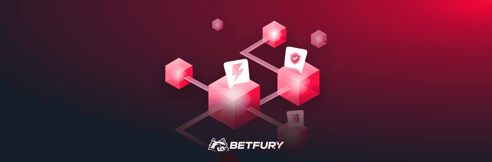 How to Choose a Crypto Network?