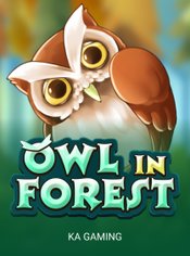 Owl In Forest slot by KA Gaming