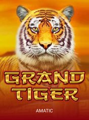 Grand Tiger slot by Amatic