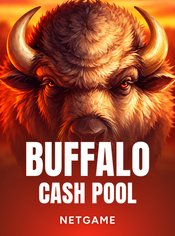 Buffalo: Cash Pool
