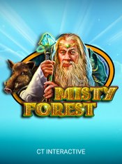 Misty Forest slot by CT Interactive