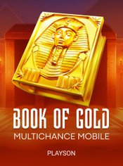 Book of Gold: Multichance Mobile slot by Playson