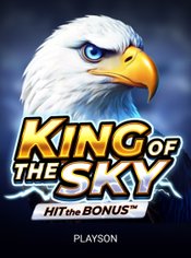 King of the Sky: Hit the Bonus slot by Playson