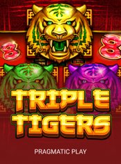 Triple Tigers slot by Pragmatic Play
