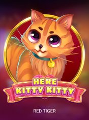 Here Kitty Kitty slot by Red Tiger