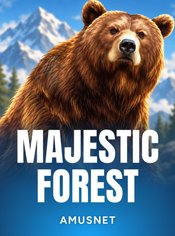 Majestic Forest