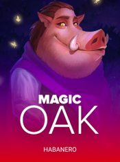 Magic Oak slot by Habanero