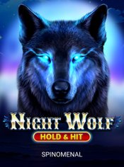 Night Wolf - Hold & Hit slot by Spinomenal