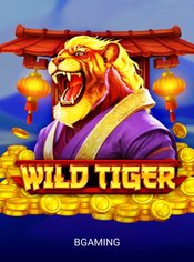 Wild Tiger slot by BGaming