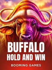Buffalo Hold and Win