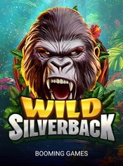 Wild Silverback slot by Booming Games