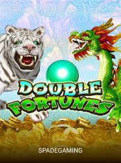 Double Fortunes slot by Spadegaming