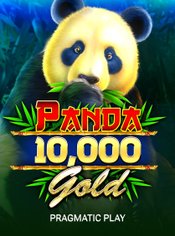 Panda Gold 10,000 slot by Pragmatic Play