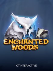 Enchanted Woods slot by CT Interactive