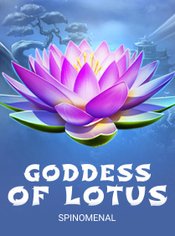 Goddess Of Lotus slot by Spinomenal