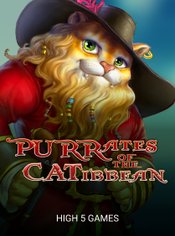 Purrates of the Catibbean slot by High 5 Games