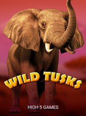 Wild Tusks slot by High 5 Games