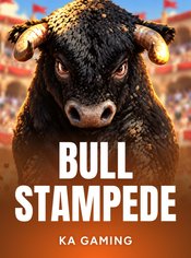 Bull Stampede