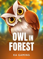Owl In Forest