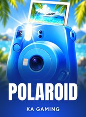 Polaroid