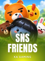 SNS Friends