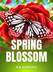Spring Blossom