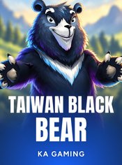 Taiwan Black Bear