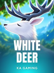 White Deer