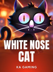 White Nose Cat