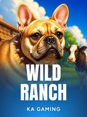 Wild Ranch