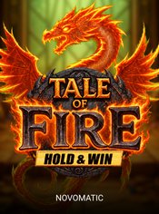 Tale of Fire Hold & Win slot by Novomatic