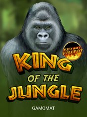 King Of The Jungle RHFP slot by Gamomat