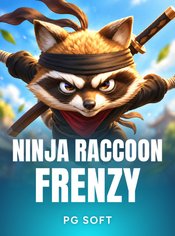 Ninja Raccoon Frenzy