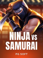 Ninja vs Samurai
