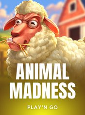 Animal Madness