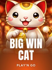 Big Win Cat