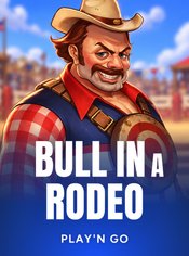 Bull in a Rodeo