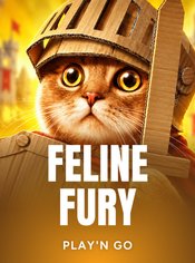 Feline Fury