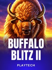 Buffalo Blitz II