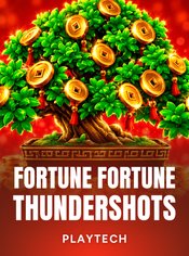 Fortune Fortune Thundershots