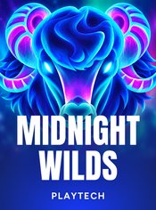 Midnight Wilds