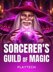 Sorcerer's Guild of Magic