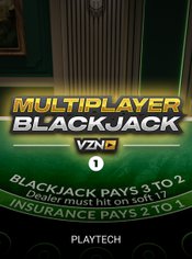 VZN Blackjack 1 slot by PlayTech