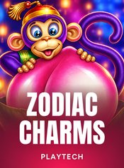 Zodiac Charms