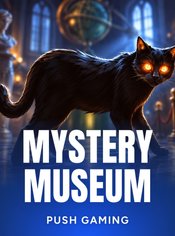 Mystery Museum