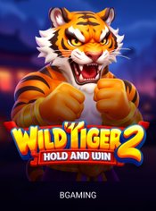 Wild Tiger 2 slot by BGaming
