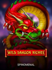 Wild Dragon Riches slot by Spinomenal