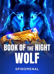 Book of The Night Wolf
