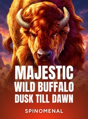 Majestic Wild Buffalo - Dusk Till Dawn