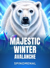 Majestic Winter - Avalanche